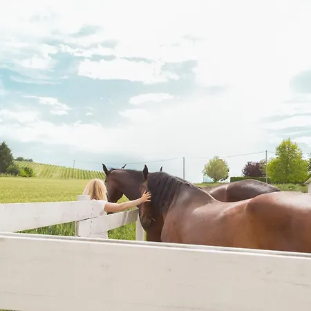 White Tail Organic Farm 팜스테이 Orsara Bormida