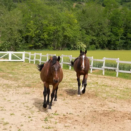 בית חווה White Tail Organic Farm Orsara Bormida