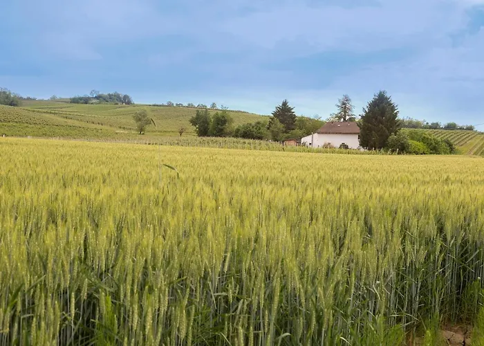 White Tail Organic Farm Alloggio per agriturismo Orsara Bormida